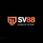 SV88 life Profile Picture