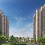 Rising Infra Profile Picture
