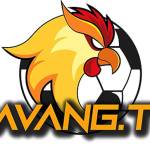 Gavangtv world Profile Picture