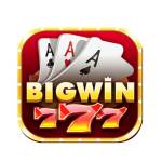 Bigwin777 Teang Len Slots Profile Picture