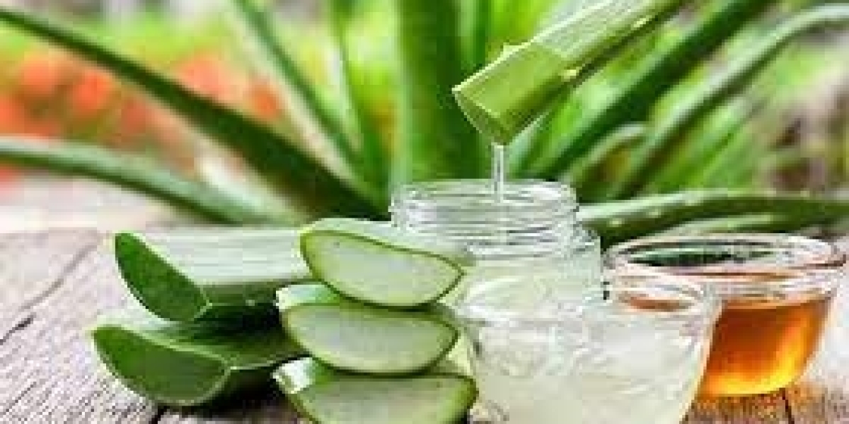 Aloe Vera Extract Market To Atain High Growth Over Estimated Timeframe during 2024-2030 – iSay Research