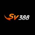 Nhà cái SV388 Profile Picture