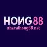 Hong88 Profile Picture