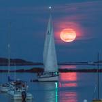Breakwater Vacation Rental LLC Profile Picture