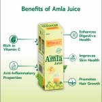 Orgadiet Organic Profile Picture