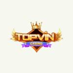 Topvin Bid Profile Picture