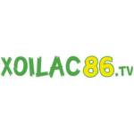 xoilac 86 Profile Picture