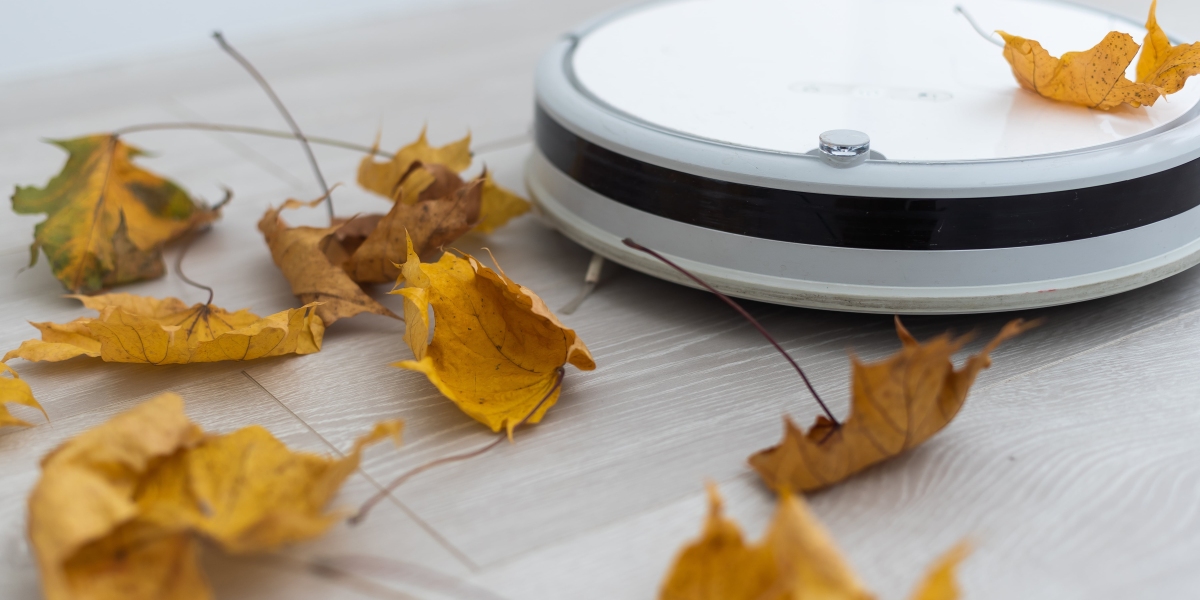 What Is It That Makes Best Budget Robot Vacuum So Popular?