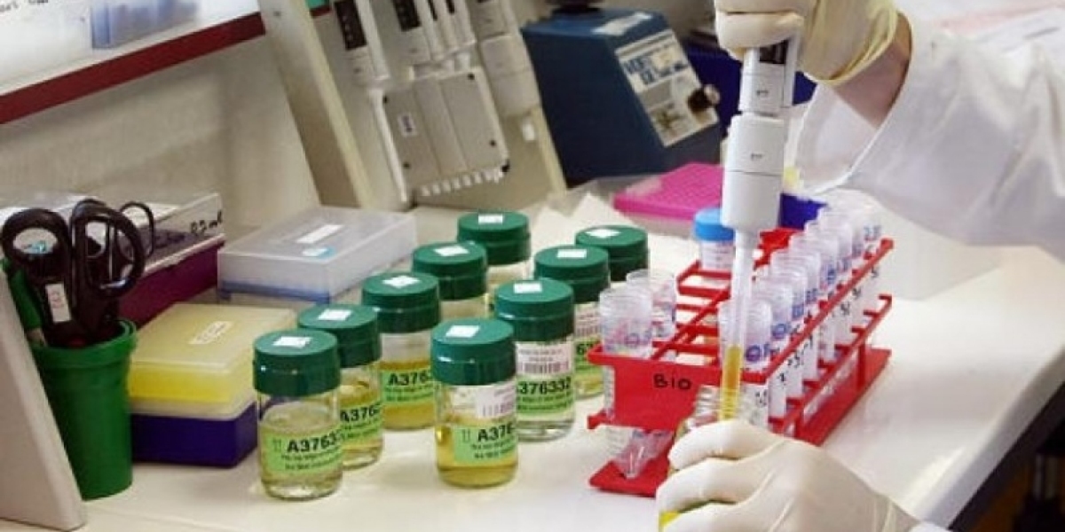 HbA1c em Gatos com Diabetes: O que os Veterinários Precisam Saber
